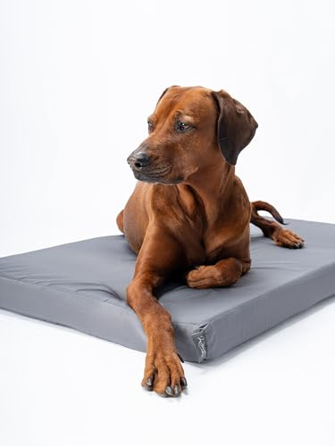 TrendPet VitaMedog Wet - Wasserabweisende orthopädische Matratze für Hunde, Hundematte in 6 Größen 120x80x7 cm