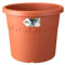 Elho Algarve Cilindro 35 - Blumentopf - Tonrot - Draußen - Ø 34.5 x H 29 cm