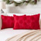 Artscope 2 Pezzi Natalizio Federe in Lana Corta Velluto Copricuscini Morbido Decorativo Fodere per Cuscino Lusso Stile per Divano Camera da Letto Natale Alberi e Neve Rosso 30x50 cm