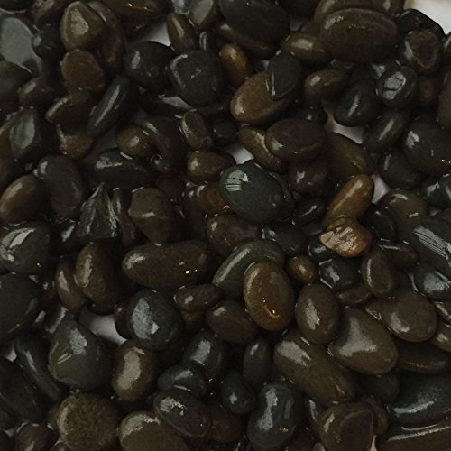 Kies wegen Deko schwarz 5 kg Granulat 4 – 6 mm Aquarium Dolce