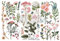 Prima Marketing Re-Design Decor Transfers 6X12 3/Sheets-Botanical Paradise -RE653378