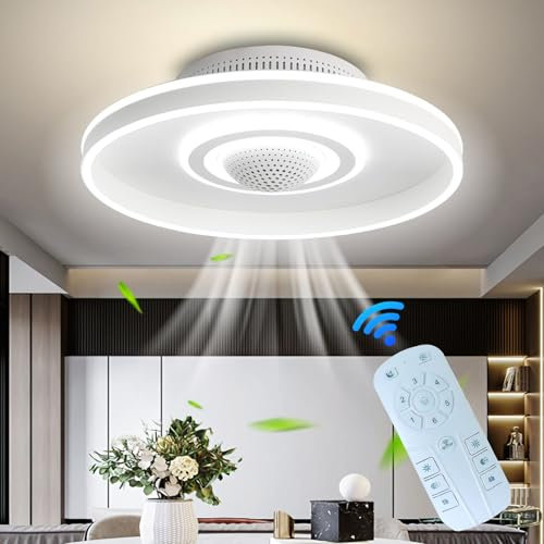 Ceiling Fans with Lights and Air Purifier, Dimmable LED Fan Ceiling Light 6 Speed Quiet Fan Lamps Air Cleaner with Remote for Living Room Bedrooms Clean Deodorize Air 50cm White