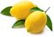LIMONE PRIMOFIORE A FOGLIA ( KG. 1) - RICHIESTO ANCHE PER PREPARAZIONE LIMONCELLO