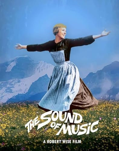 Schwagebo The Sound Of Music Poster 1000 Piece Wooden Puzzle For Adults Children Educational Toys BS98OC