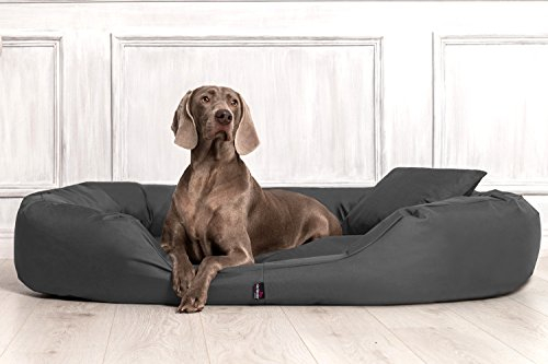 tierlando® Orthopädisches Hundebett Sammy mit viscoelastischer Matratze und hohem Rand aus robustem Polyester für gelenkschonenden Schlaf und höchsten Komfort Größe: 170x110cm | Farbe: 02 Graphit