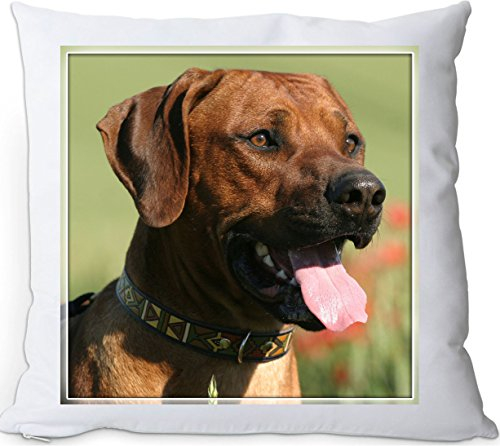 +++ Rhodesian RIDGEBACK - Kuschelkissen/KISSEN | PILLOW/Dekokissen - RRB 29