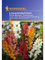 Antirrhinum Löwenmäulchen Schnitt-Mischung