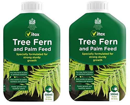 2 x Tree Fern & Palm Feed