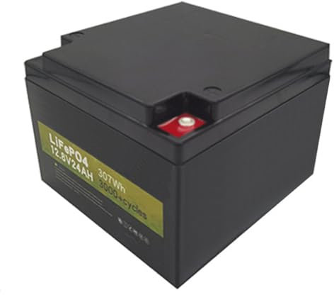 FREEDOH Batteria LiFePO4 12V 24Ah Batteria al Litio 3000+ cicli Profondi con BMS 20A per Barche elettriche, Golf Cart e carrelli elevatori elettrici