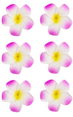 Lot de 6 barrettes à cheveux en forme de fleurs - Accessoire pour cheveux - Pour l'été - Pour le jardin, la plage, hawaïenne - - Couleur au choix (rose)