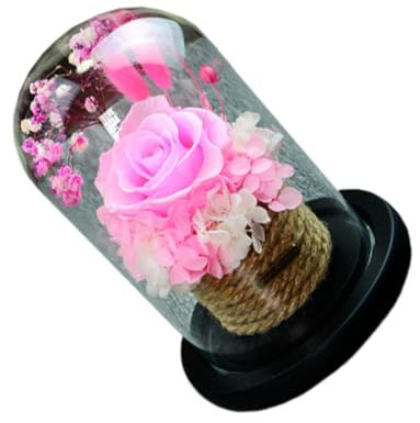 HOOTNEE schönes geschenk shöne bescherung hochzeitsdirndl weihnachtse weihnachtsonsie diehochzei erhaltene Rosenkuppel künstliche Rosenblüte romantisch konservierte Geschenkbox Rosa