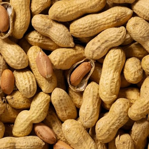 1kg Peanuts in Shell for Wild Birds – Monkey Nuts Whole Unsalted Bird Food – Natural High-Energy Feed for Garden Birds – Sold Per KG in Clear Bags