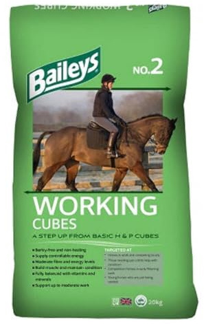Baileys No 2 Working Cubes 20Kg