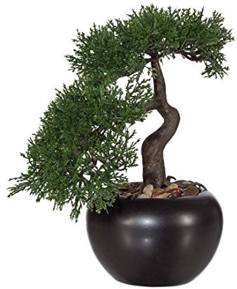 Künstlicher Zeder Bonsai Baum 25cm im schönen schwarzen Keramiktopf mit Kieselsteinen | Schwarzer Keramiktopf, Mit Kieselsteinen