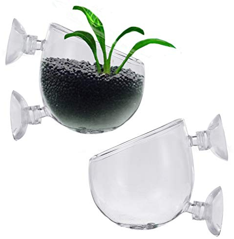 Oneroomone 2 pièces Pot de Tasse en Verre de d'Aquarium, Support de Plante d'Aquarium avec Ventouse, Tasse de Verre en Cristal de Plantes d'Aquarium, pour Aquascaping d'Aquarium d'Aquarium