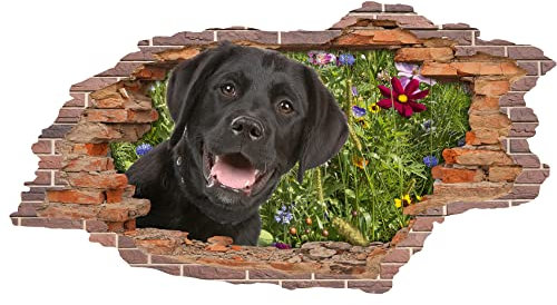 3D Wandtattoo Mauerloch 1 x 0,53 m Wandsticker Wandaufkleber Mauerdurchbruch realistisch selbstklebend Kinderzimmer Schlafzimmer Wohnzimmer Bad W009(08 Hund)
