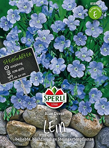 Staudenlein, Blue Dress