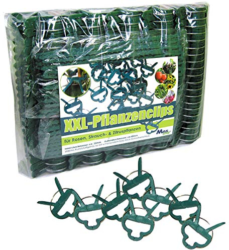 Pflanzenclips 100 Stück stabile Clips Pflanzenklammern für kleine & große Triebe Spaliere Rosenbögen Rankhilfen (100er-Set XXL)