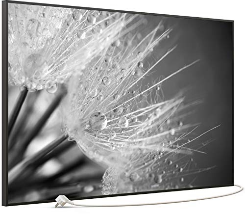 STEINFELD Bild Infrarotheizung mit Thermostat | Made in Germany | viele Motive 350-1200 Watt Rahmen schwarz (900W, 063 Löwenzahn)