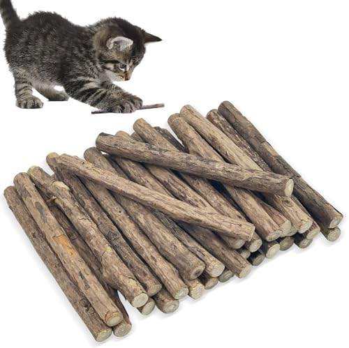 tekenewbse 32 Pièces Bâtonnets Herbe à Chat, Matatabi pour Chat, Mâchonner Naturelle Baton Herbe a Chat Jouet Séchée, Soin Dentaire Naturel pour Grincer des Dents Baton