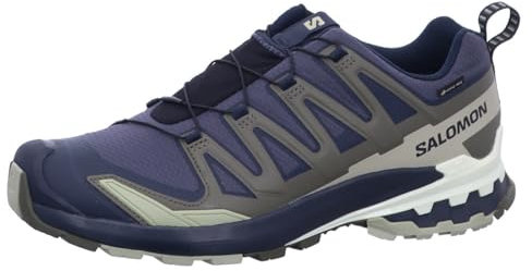 Salomon XA Pro 3D v9 GTX L47823000, Men Running Shoes, Grey, 43 1/3 EU