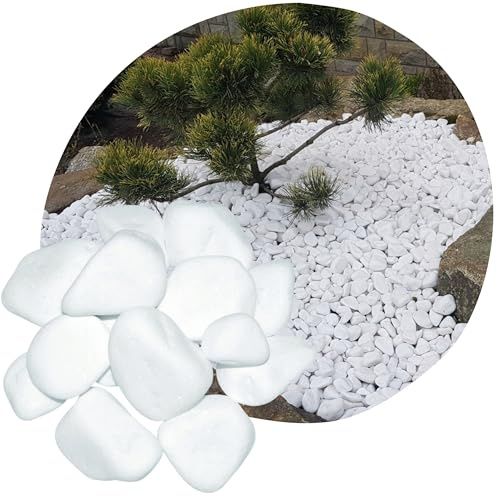 V-PREMIUM SOLUTION Galets blancs 10 kg – Galets décoratifs blancs neige pour décoration de jardin, allées, pots de fleurs et intérieur – 8-13 cm – Thassos