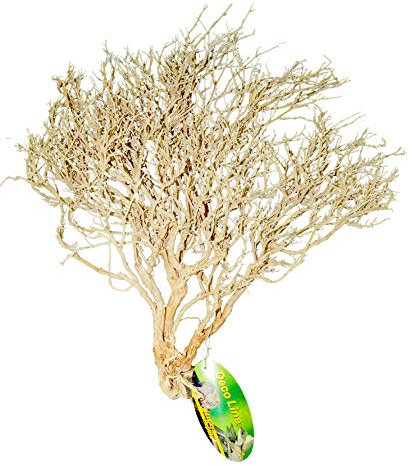 Lucky Reptile Wüstenbusch Gebleicht, Größe:Klein