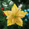 SMLJFO 10 x Weihnachtsstern, künstliche Weihnachtsblumen, 8,9 cm, glitzernd, Weihnachtsbaumschmuck, künstliche doppelschichtige Blume für Feiertage, Party-Dekoration, Gelb