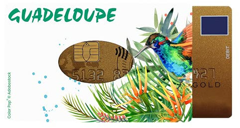 Color Pop Etui Rigide 1 Carte Guadeloupe Couleur Motif imprimé Colibri - Fabrication française - 6 x 9 cm (Colibrgu)