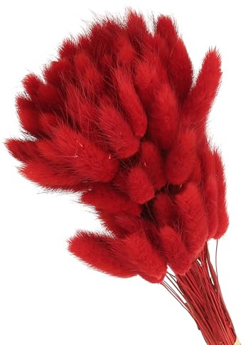 PATIKIL 80Pcs Queue de Lapin Naturelle Fleurs Séchées 40cm Rouge | Mini Herbe de Pampa Lagurus Bouquet, pour Décoration Florale Mariage Noël