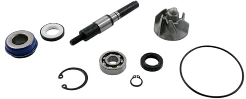 Dylan SES 125 4T JF10 - Kit de reparación de bomba de agua