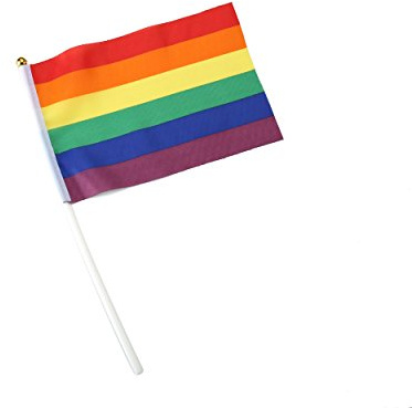 6 x Gay Pride Rainbow Handheld Flags With Stick Poles For Sports Waving Celebration Events National Days LGBT Small Desktop Hand Decoration Fancy Dress Costume