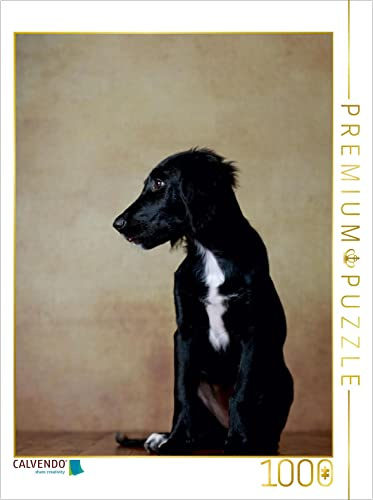 CALVENDO Puzzle Hazel - Retriever x Labrador x Münsterländer-Mix, 14 Wochen 1000 Teile Puzzle hoch | Lege-Größe cm Foto-Puzzle für glückliche Stunden