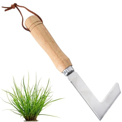 Rascador de juntas, rascador de malas hierbas con mango de madera, limpiador de juntas, rascador de malas hierbas de acero inoxidable, cuchillo para eliminar musgo y malas hierbas, herramienta de