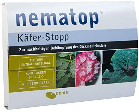 nematop® Käfer-Stopp mit SC Nematoden zur nachhaltigen Bekämpfung des Dickmaulrüsslers - 1 Fangbrett mit 2,5 Mio.