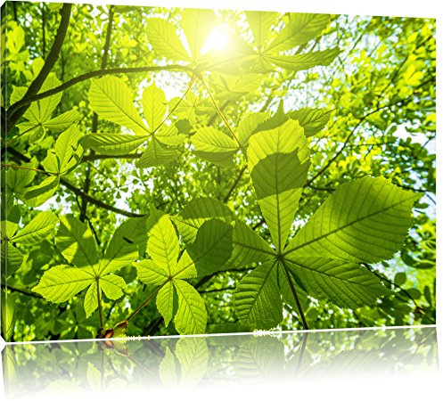 Pixxprint Grüne Blätter Bild, Größe: 120x80cm, Leinwandbild, fertig gespannt, Wandbild, Dekoration, Kunstdruck, kein Poster