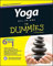 Yoga All-In-One For Dummies by Larry Payne (2015-03-02)
