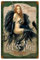 Metall-Blechschild, 20 x 30 cm, schwarze Fee Absinth-Kunst, Dekoration für Zuhause, Café, Bar, Zimmer, Vintage-Dekor