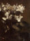 Leinwandbilder Bild Poster Kunstdrucke Ölgemälde Fleurs Alpenveilchen von Henri Fantin-latour für Wanddekoration 60x90cm