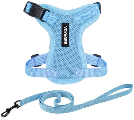Voyager Step-in Lock Katzengeschirr und reflektierende Katzenleine mit Neoprengriff by Best Pet Supplies - Unterstützt kleine, mittelgroße und große Katzenrassen, Babyblau, size XS - 1,5 m
