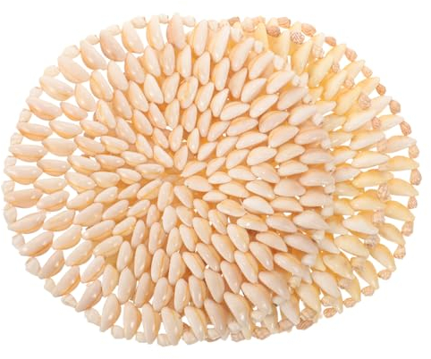 HOLIDYOYO 3pièces sous-Verres Naturel Lot de Élégante pour Tasses Décoration Plage pour Maison Environ