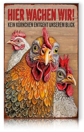 Finest Folia Alu Schild 30x20cm Deko Hobbyschild für Garten Wohnzimmer Garage Außenbereich Dekoration retro Tafel Hobbys wetterfest robust stabil RV002 (06 Hühner)
