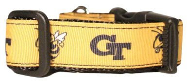 All Star Dogs NCAA Georgia Tech Hundehalsband, Gr. M, Gelb