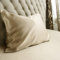 Jasmine Silk 100% 19 Momme Mulberry Charmeuse Silk Pillowcase for Hair and Skin 50 cm x 75 cm Envelope Closure - RRP £35 (Taupe)