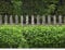 PerfectHD Zaunsichtschutz - Motiv Holzzaun und Buxus - Sichtschutz für den Garten - 2,50 x 1,80 x 0,19 m - 9 Streifen - 30 Varianten