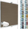 SchattenFreude Waben-Plissee für Fenster | 100% verdunkelnd/Blackout | Mit Klemm-Haltern | Klemmfix ohne Bohren | Braun (Weiße Rückseite), Breite: 55cm x Höhe: 130cm