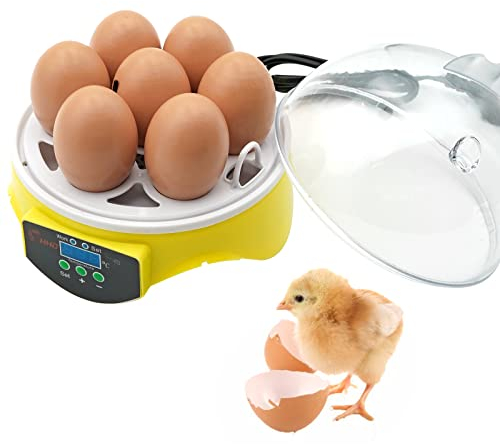 Eierbrutkasten, 7 Eier Geflügelbrutkasten mit manueller Temperaturregelung zum Ausbrüten von Hühner-, Enten-, Gänse-, Papageien- und Wachteleiern