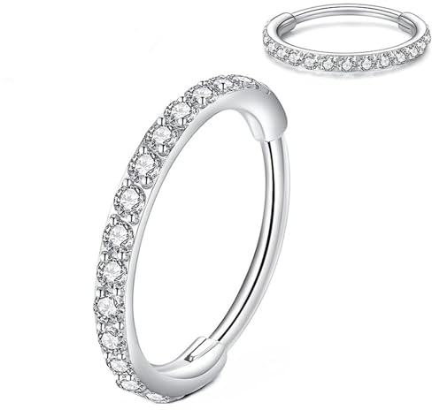 Artskin G23 Titan 0.8 10mm Silber Nasenring Hoop hypoallergen nickelfrei Knorpelohrring Septum Clicker Ring Klappbarer Segmentring Lippenring Helix Body Piercing Schmuck