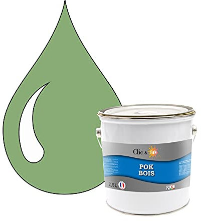POK Peinture extérieure bois - Résistante aux intempéries BOIS - 2,5L - RAL 6021 Vert pâle