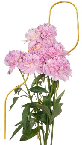 Pflanzen Rankgitter 46 cm Ständer Und Stützgestell